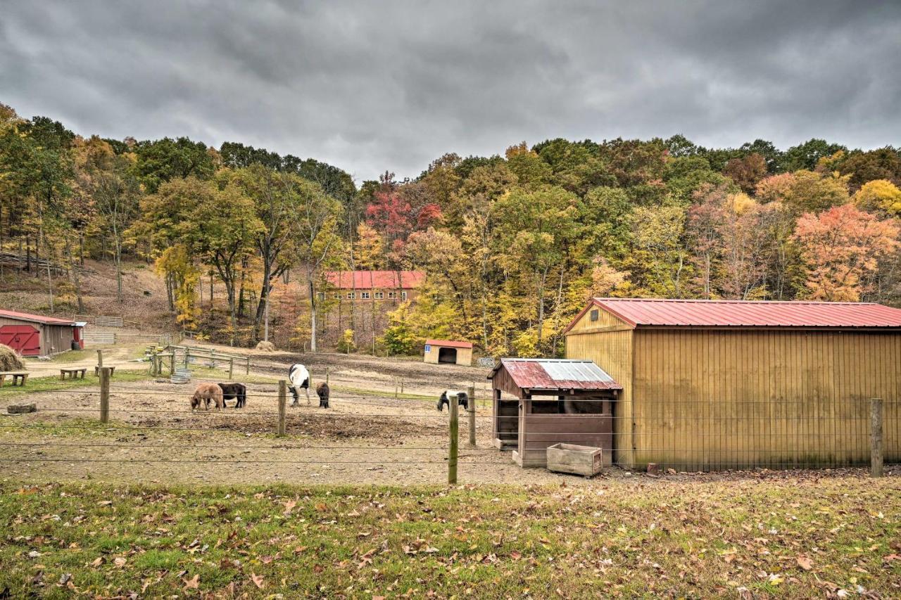 Rustic Clint Eastwood Ranch Apt By Raystown Lake Гантінгдон Екстер'єр фото